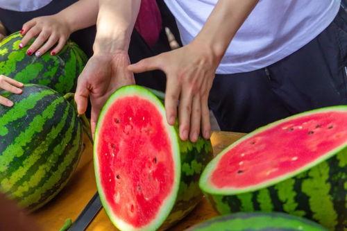 民族大学网红吃瓜,揭秘校园热点背后的故事